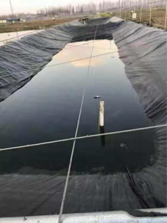 湖南正屹生物科技有限公司,湖南水污染治理公司,生态修复,土壤污染治理 湖南正屹生物科技有限公司,湖南水污染治理公司,生态修复,土壤污染治理